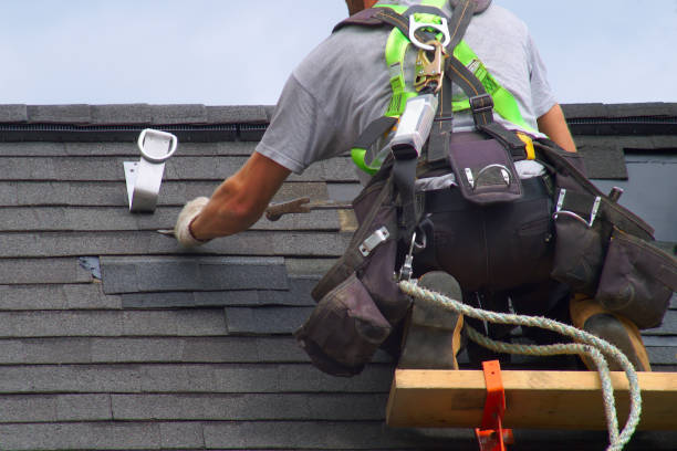 Roof Gutter Cleaning in Riverview Park, PA