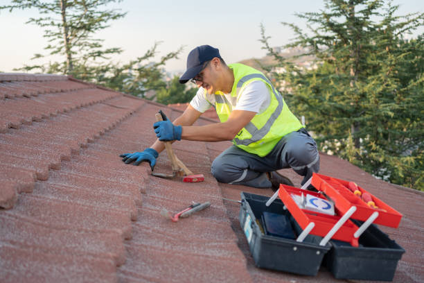 Best Roof Maintenance Services  in Riverview Rk, PA